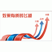 网络推广软件有着什么优点